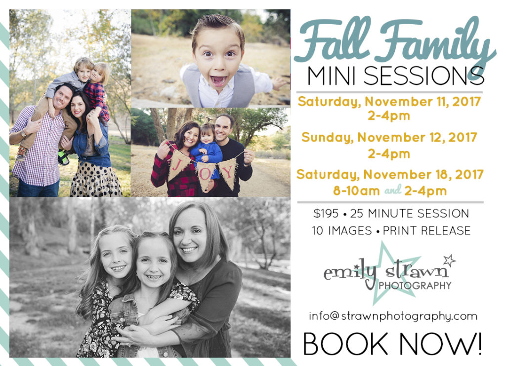 mini sessions » Emily Strawn Photography